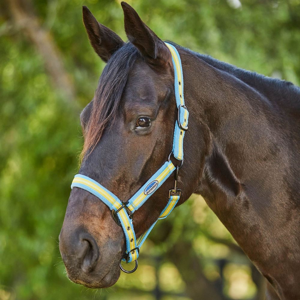 Weatherbeeta Coordinate Headcollar (Light Blue/Gold/Sand)