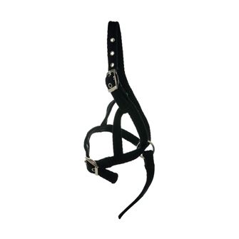 Hy Equestrian Foal Slip Halter