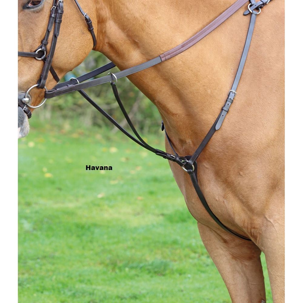 Shires Velociti GARA (Aviemore) Hunt Weight Breastplate