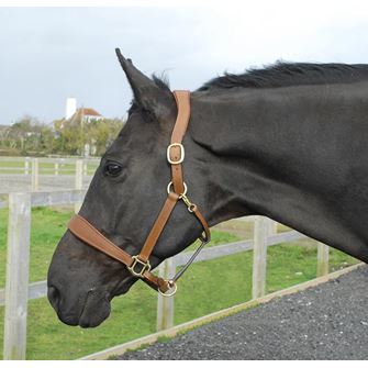 Rhinegold Anatomical Leather Headcollar