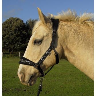 Rhinegold Star Spangled Headcollar & Rope Set (Black)