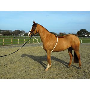 Rhinegold Soft Lunge Aid