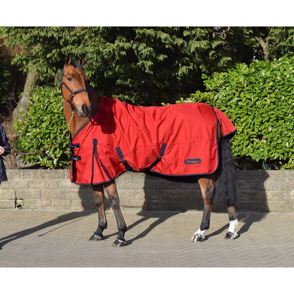 Whitaker Clifton Turnout Rug 0g (Pink)