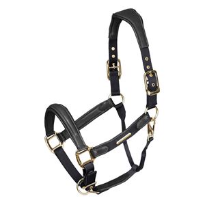 Shires Velociti Lusso Padded Leather Headcollar (Black)