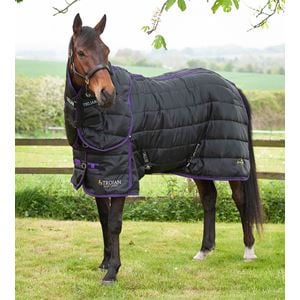 Gallop Trojan Dual 200 Stable Rug & Neck Set (Black/Purple)