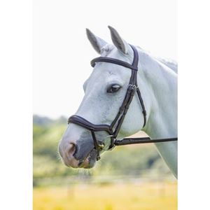 Shires Velociti Ergonomic Flash Bridle