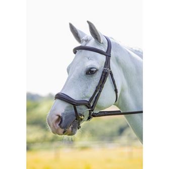 Shires Velociti RAPIDA Ergonomic Flash Bridle