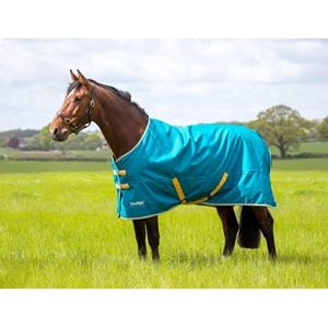 Shires Tempest Original 50g Turnout Rug (Blue)