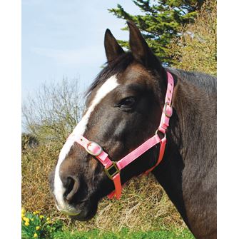 Rhinegold Nylon Headcollar (Pink)