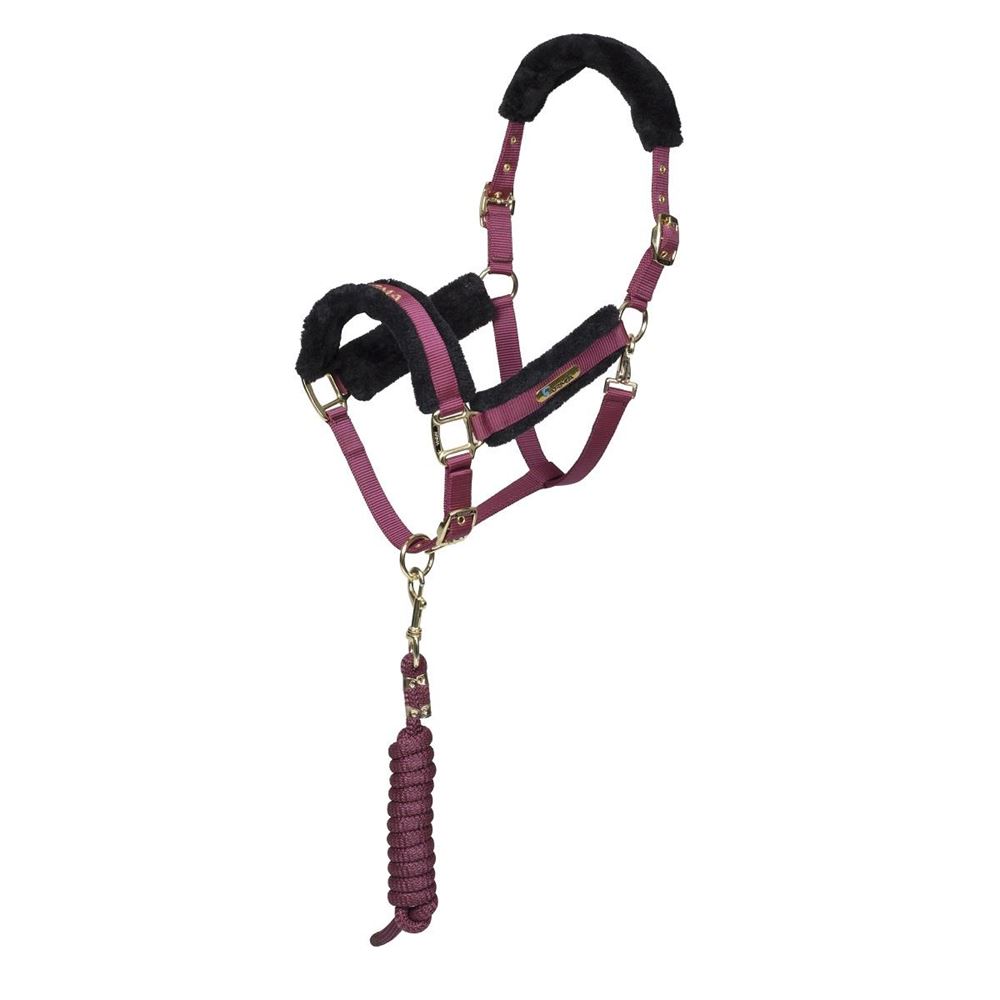 Shires ARMA Logo Headcollar & Lead Rope (Burgundy)