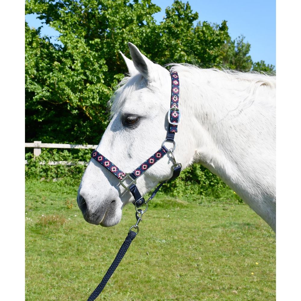 Rhinegold Aztec Padded Headcollar And Matching Lead Rope Set