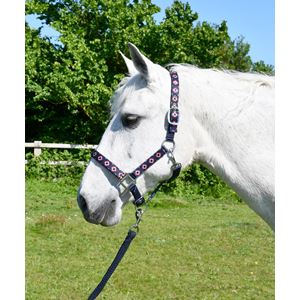 Rhinegold Aztec Padded Headcollar And Matching Lead Rope Set