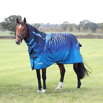 Shires Tempest Original 50 Turnout Rug & Neck Set (Blue Skeleton)