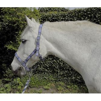 Rhinegold Carnival Headcollar & Lead Rope Set (Blue Check)