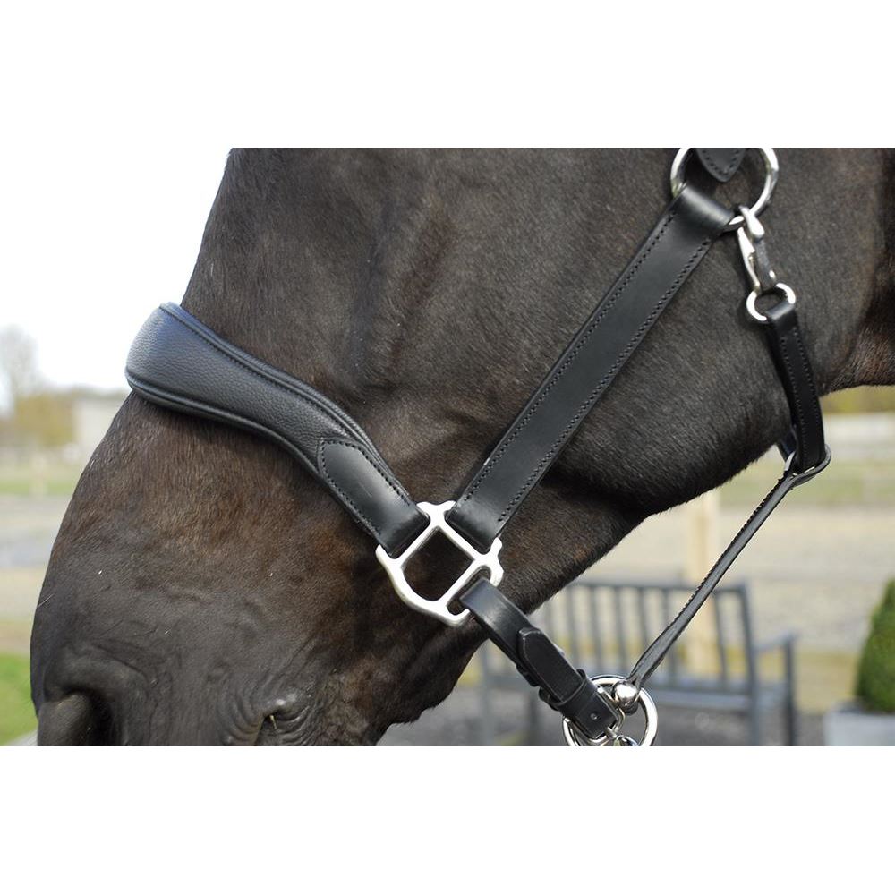 Rhinegold Softee Pro-Anatomical Leather Headcollar