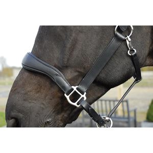 Rhinegold Softee Pro-Anatomical Leather Headcollar