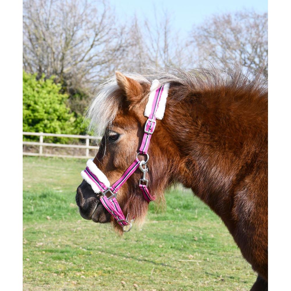 Rhinegold Bright Striped Fur Trim Small Pony Headcollar (Raspberry Stripe)