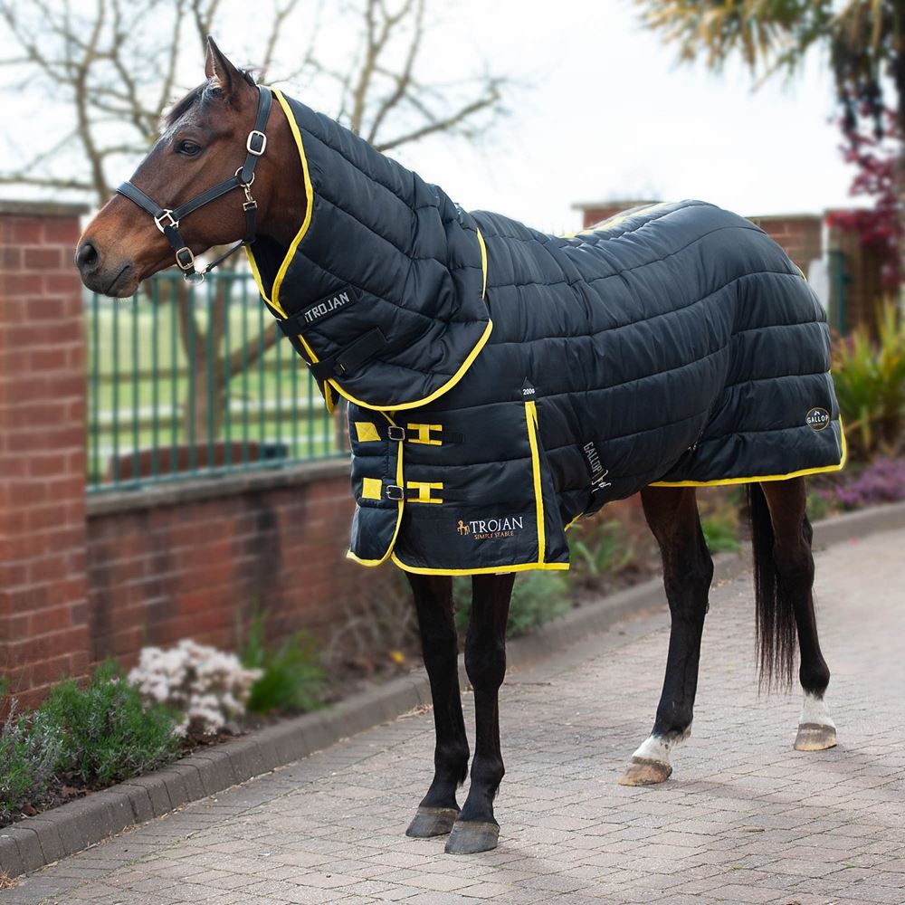 Gallop Trojan Maverick 200 Stable Combo (Black/Yellow)