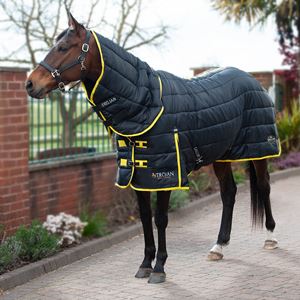 Gallop Trojan Maverick 200 Stable Combo (Black/Yellow)