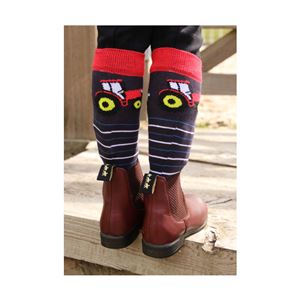 Tractor Collection Socks by Little Knight (Pack of 3)