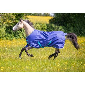 Shires Tempest Original 100 Turnout Rug (Navy)