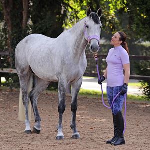 Shires Aubrion Revive Short Sleeve Base Layer (Lavender)