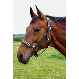 **pics**Hy Equestrian Anodize Leather Head Collar (Black/Silver)