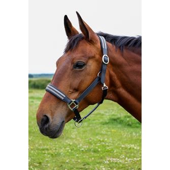 Hy Equestrian Anodize Leather Head Collar (Black/Silver)