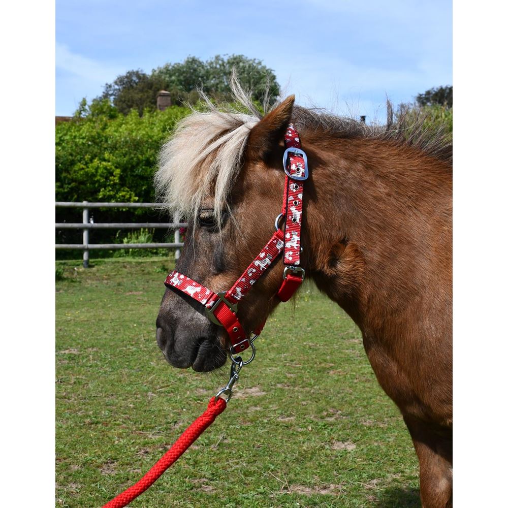 Rhinegold Unicorn Padded Headcollar And Matching Lead Rope Set