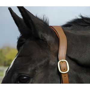 Rhinegold Anatomical Leather Headcollar