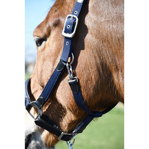 Heritage Anatomical Leather-Lined Headcollar (Navy)