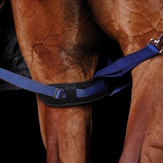 Weatherbeeta Padded Leg Straps.