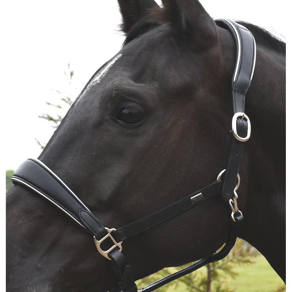 Rhinegold Rocco Italia Turin Leather Headcollar