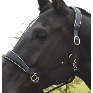 Rhinegold Rocco Italia Turin Leather Headcollar