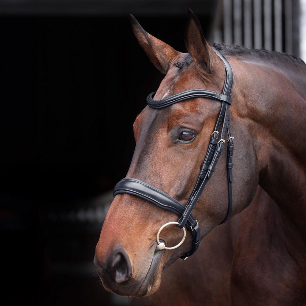 Shires Velociti Lusso Elite Padded Cavesson Bridle (Black)