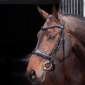 Shires Velociti Lusso Elite Padded Cavesson Bridle (Black)