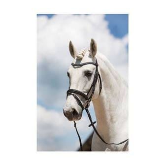 Kieffer Ultrasoft Fashion Snaffle Bridle