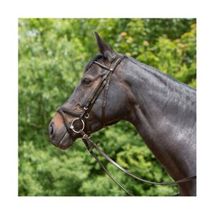 Kieffer Ultrasoft Tara Snaffle Bridle