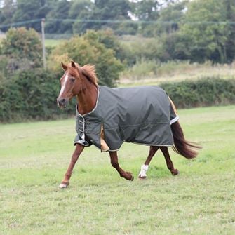 Shires Highlander Plus 50 Turnout Rug (Green)