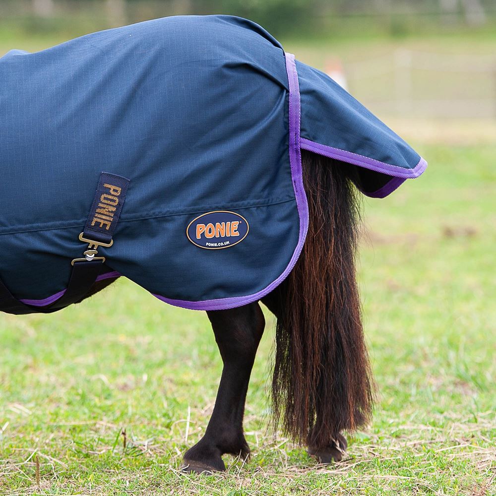 Gallop Ponie Lightweight Turnout Rug (Navy/Purple)