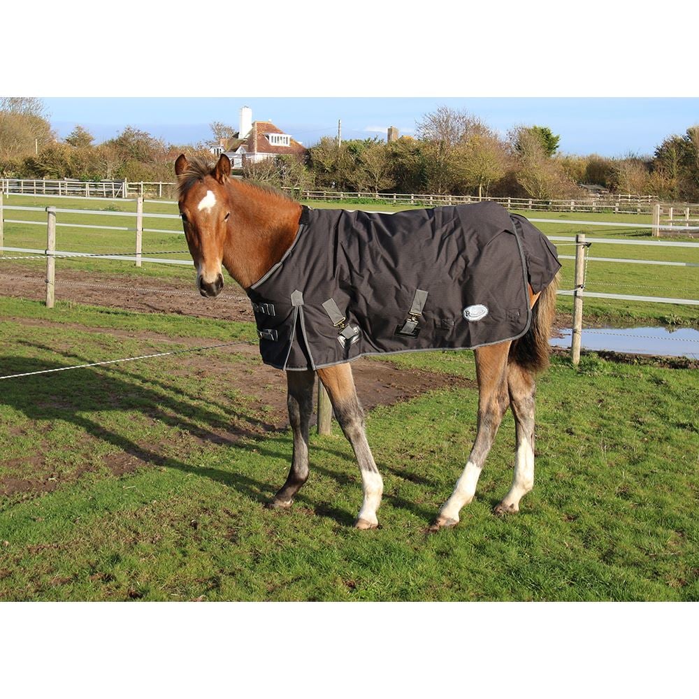 Rhinegold Konig Small Pony/Foal Outdoor Rug - 200g (Black)