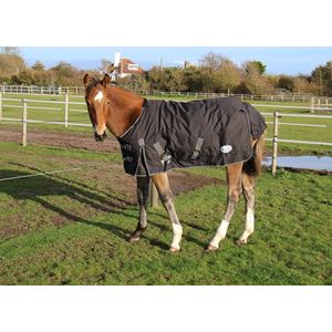 Rhinegold Konig Small Pony/Foal Outdoor Rug - 200g (Black)