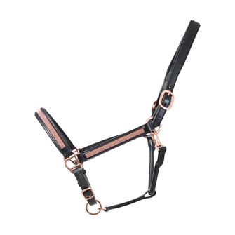 Hy Equestrian Rosciano Rose Gold Head Collar (Black)