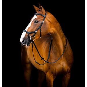 Horseware Micklem 2 Deluxe Competition Bridle *With Reins* (Black)