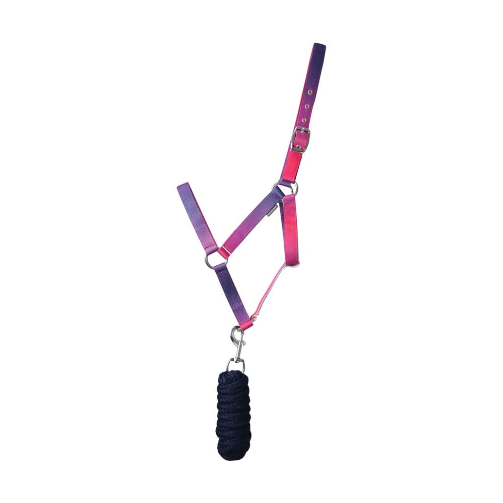 Hy Equestrian Ombre Head Collar & Lead Rope (Pink/Purple/Navy)