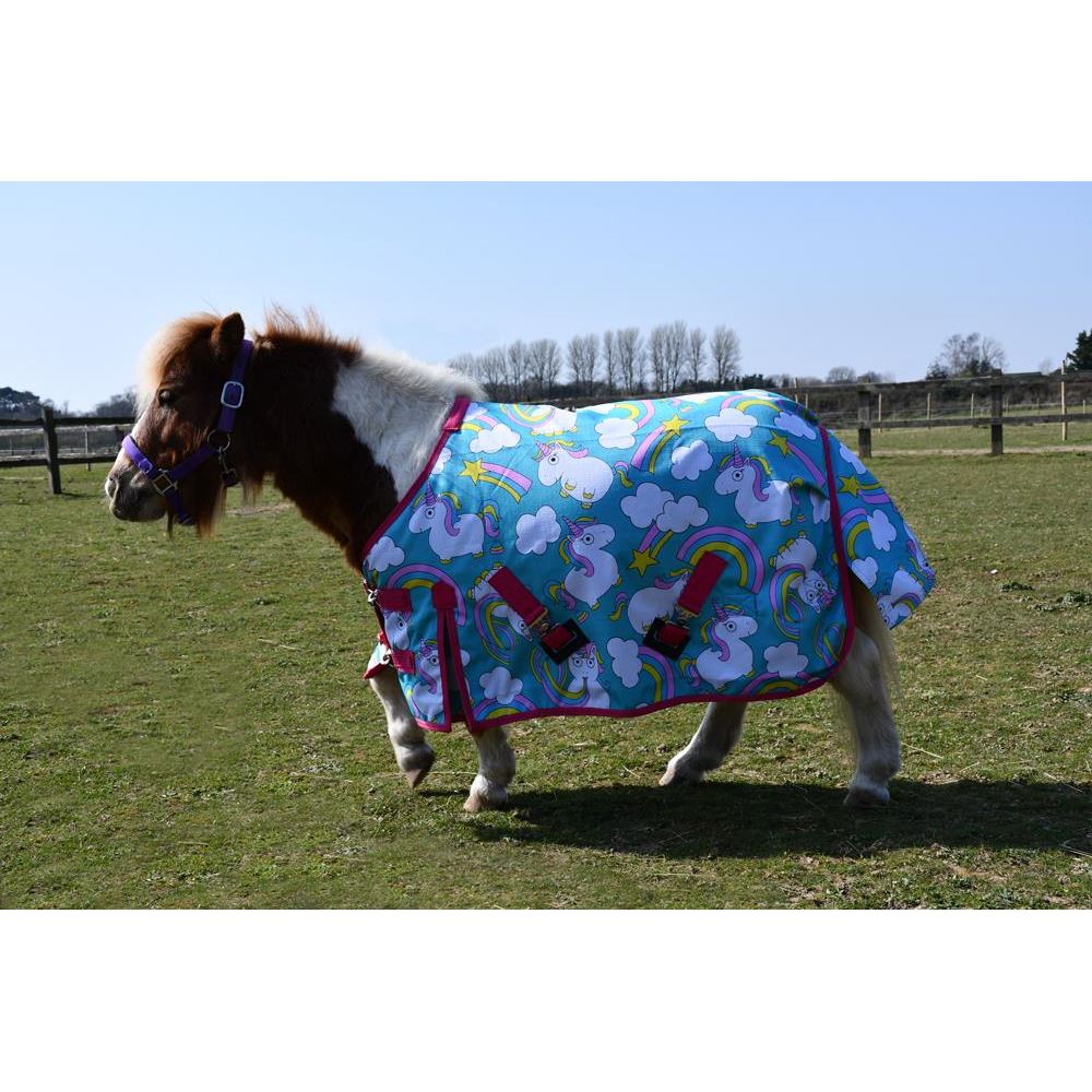 Rhinegold Unicorn Mini Torrent Outdoor Rug - 0g (Unicorn Print)