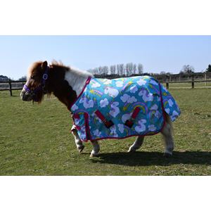 Rhinegold Unicorn Mini Torrent Outdoor Rug - 0g (Unicorn Print)