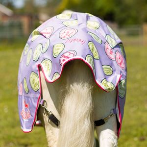 Ponie Sweet Treats Lightweight Standard Neck Turnout Rug