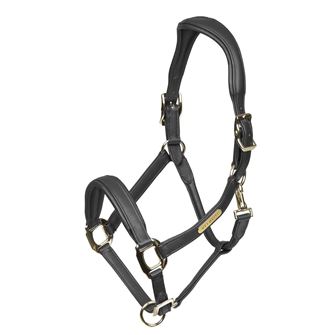 Shires Velociti Rapida Comfort Leather Headcollar (Black)