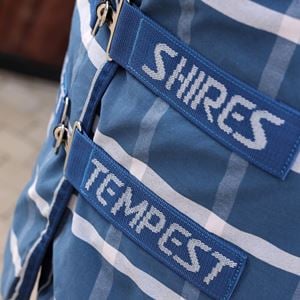 Shires Tempest Original Stable Sheet (Teal Check)